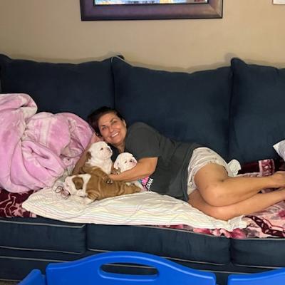 Bulldogs For Sale | Sheryl Star English Bulldogs | Michigan Dog Breeder